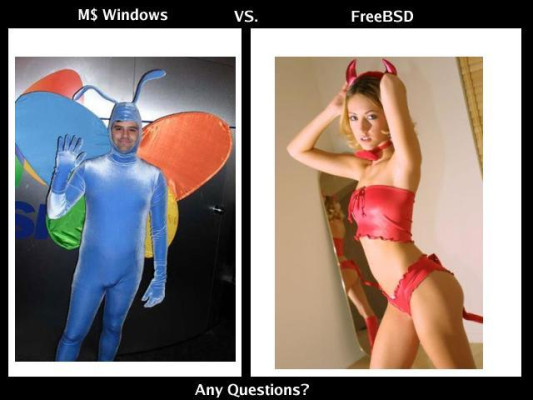 windows vs. freebsd
